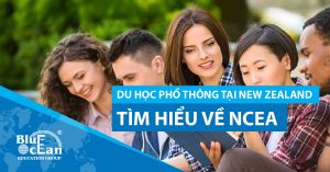 Du học phổ thông tại New Zealand: Cùng Blue Ocean tìm hiểu về NCEA